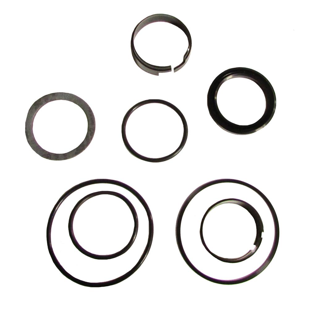 LPS Hydraulic Cylinder Seal Kit to Replace Case® OEM 128725A1