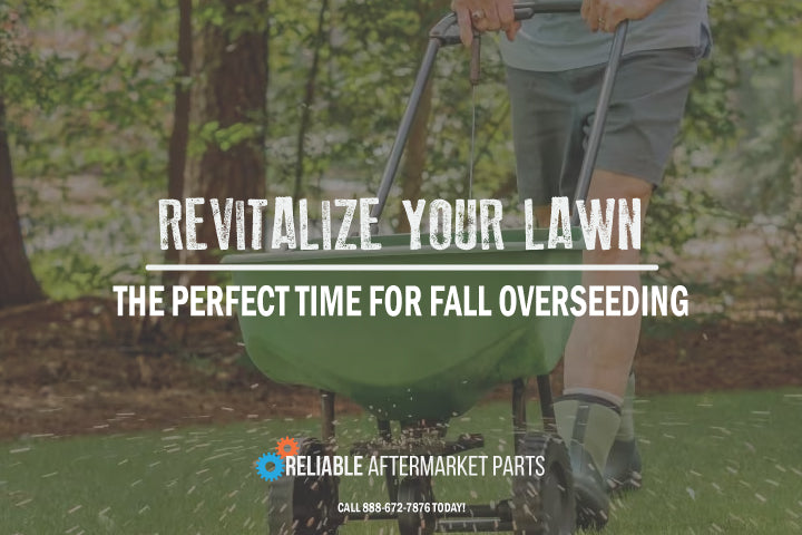Revitalize Your Lawn | The Perfect Time For Fall Overseeding