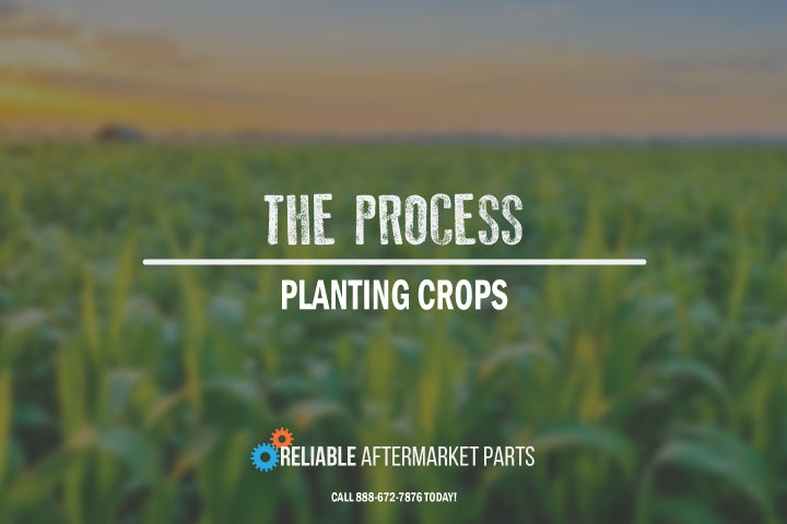 The Process of Planting Crops