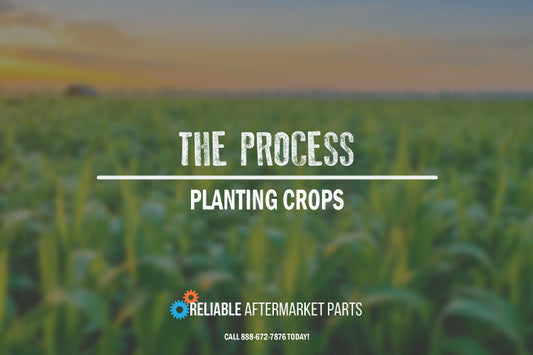 The Process of Planting Crops