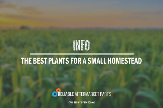 The Best Plants for a Small Homestead