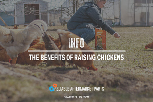 The Benefits of Raising Chickens for a Hobby Farmer