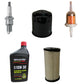 Filters w/ Spark Plug & Oil Fits John Deere LG248 Fits Gator CS CX TS M113621
