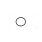 1079570 Seal O Ring Fits Caterpillar Models