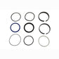 1100P359F1 Cylinder Seal Kit Fits P&H Crane
