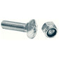 1301064 -BULK CUTTING EDGE 5/8 X 2 INCH CARRIAGE BOLT AND NUT - SET OF 10
