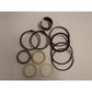 Fits Case 1543252C1 G109452 G105548 Hydraulic Cylinder Seal Kit