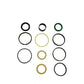 Fits Case 1543265C1 G105547 Hydraulic Cylinder Seal Kit