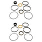 Qty 2: Cylinder Seal Kit
 Fits Case Replaces 1543275C1