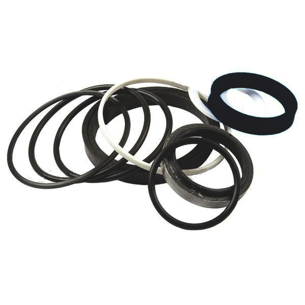 Forklift Tilt CYLINDER Seal Kit Fits Massey Ferguson 4500 1606532M94
