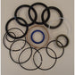 S.41281 Seal Kit, Boom Ram, 1607427M91 Fits Massey Ferguson