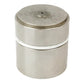 1665738M91 Replacement Piston & Rings 899596M91 Fits Massey Ferguson Models