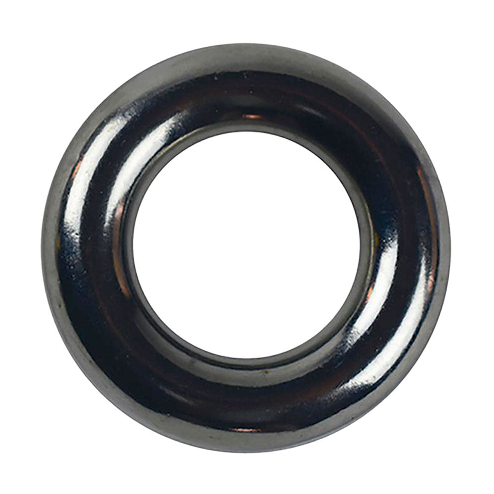 16851 STAINLESS STEEL RIGGING RING