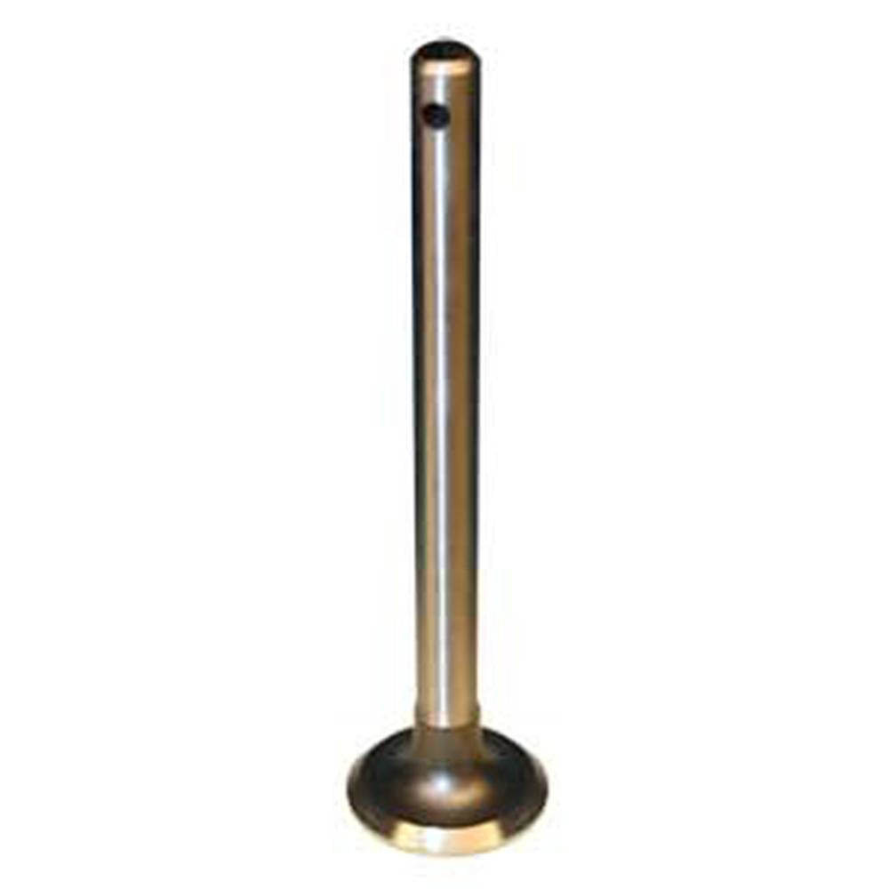 Fits Massey Ferguson Intake Valves for Z120 1751518m1