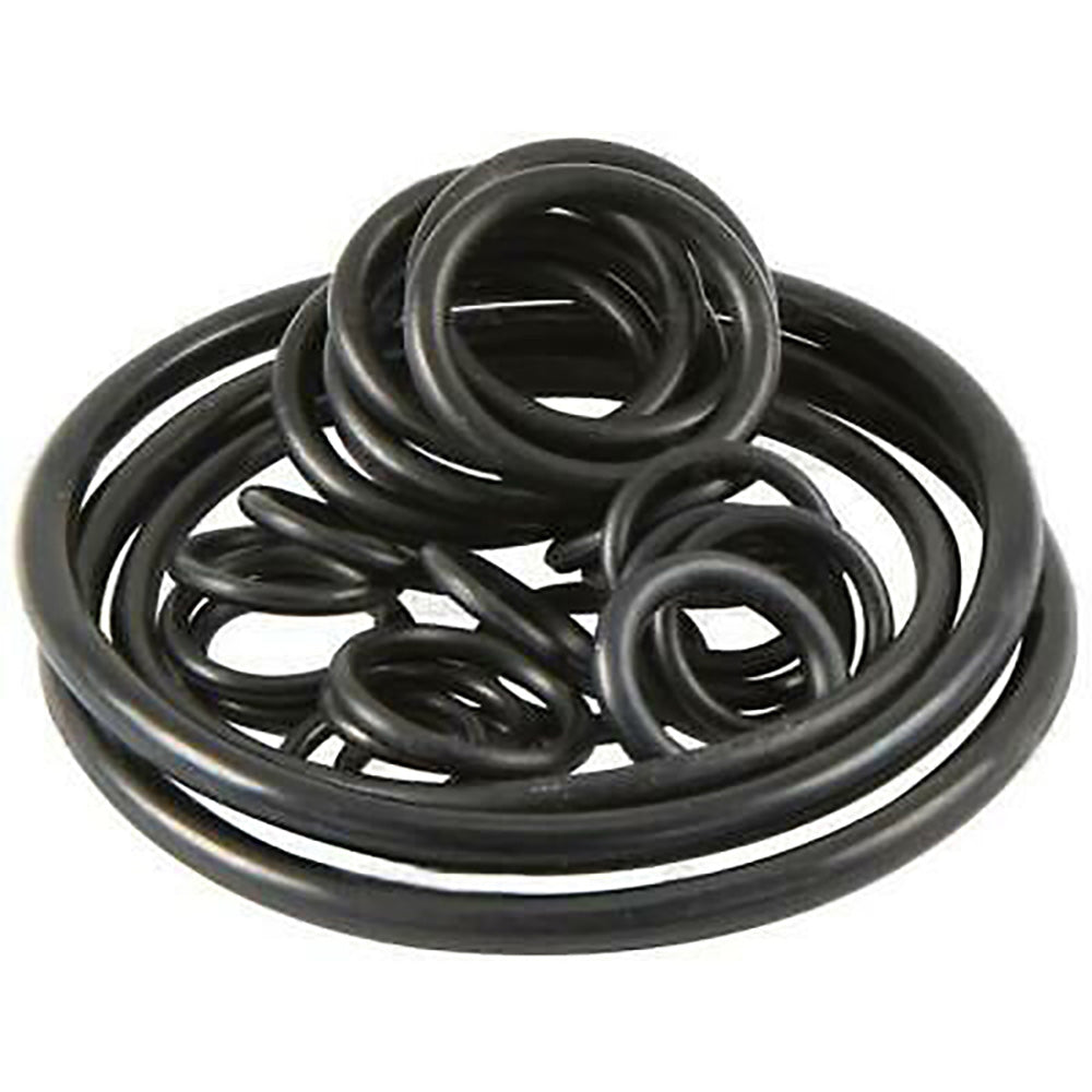 Hydraulic Pump ORing Kit Fits Massey Ferguson 1810467M91