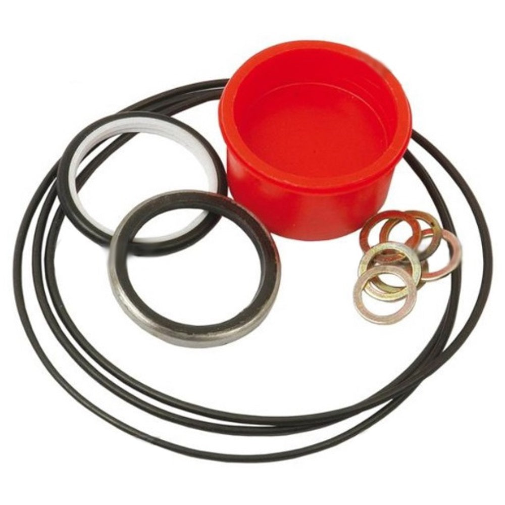 S.41499 Orbital Seal Kit () Fits Case IH