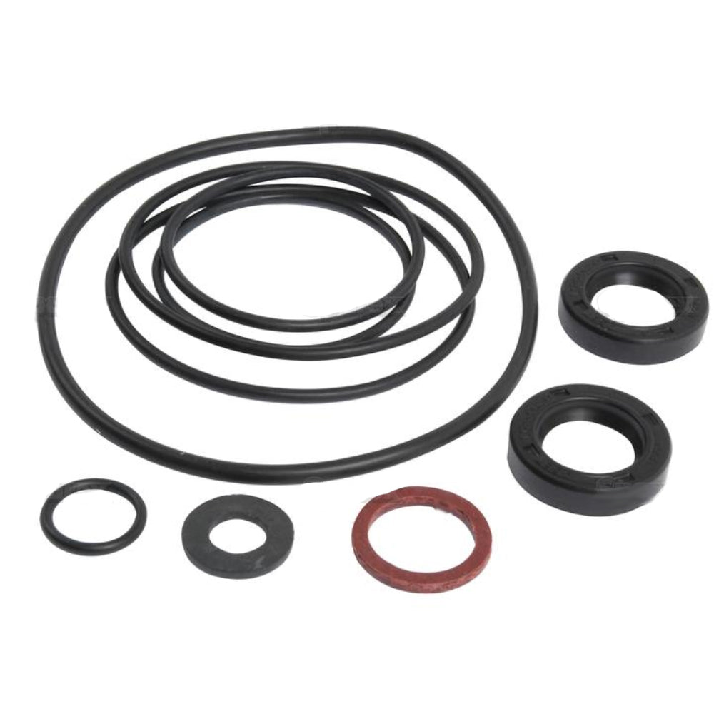 Plessey Power Steering Pump Seal Kit Fits Massey Ferguson 50 165 255 165 275