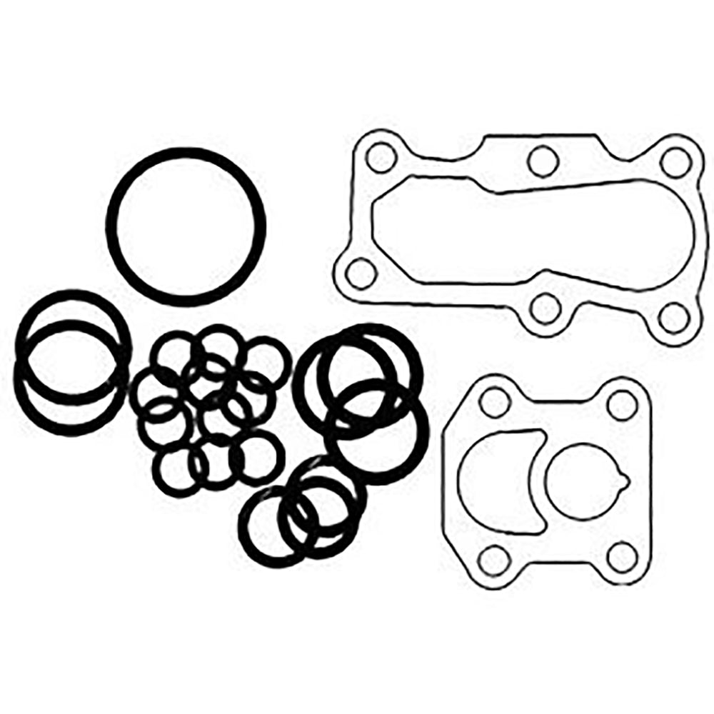 Hydraulic Pump O-Ring & Gasket Kit Fits Massey Ferguson Replaces 1810680M92
