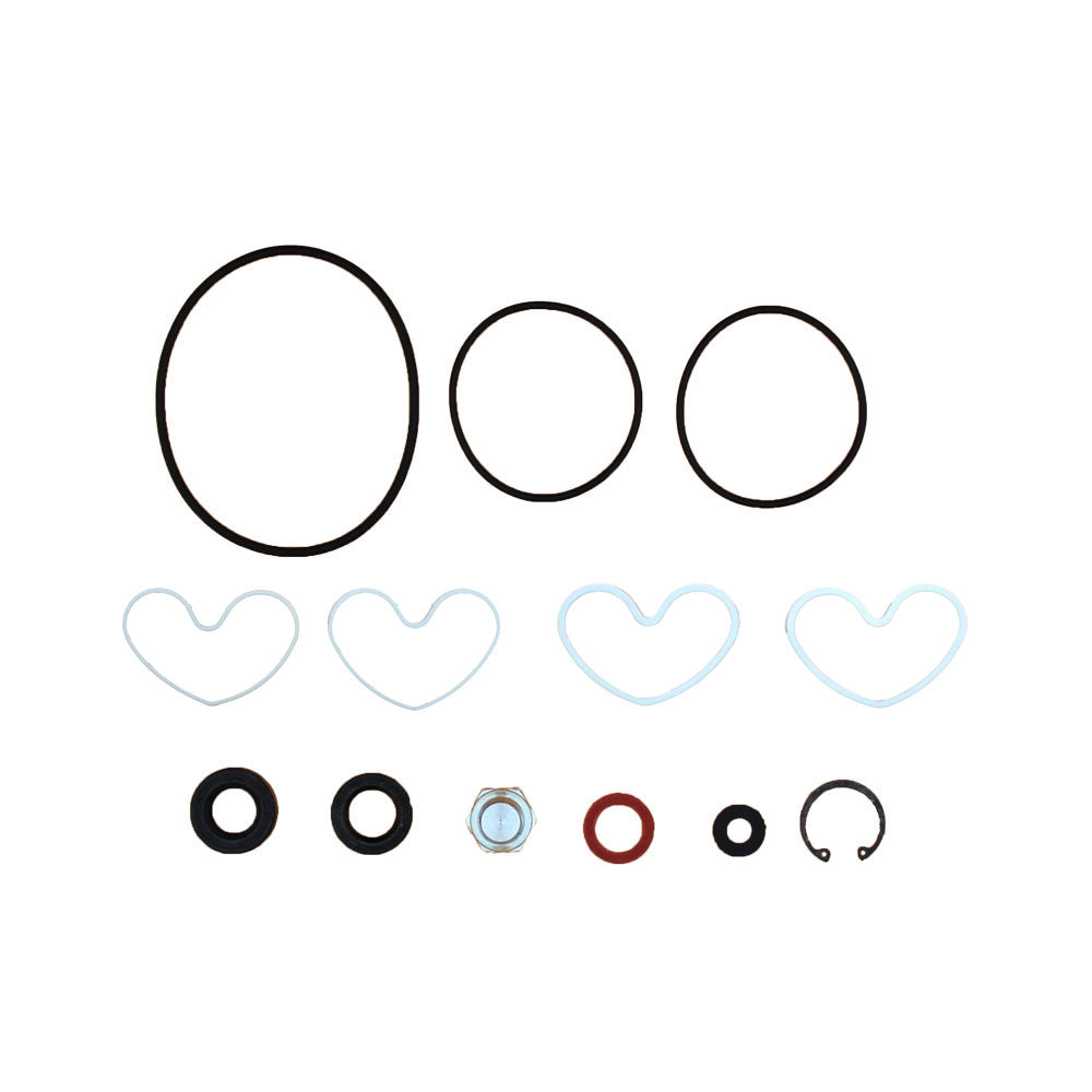 Power Steering Pump Seal Kit Fits 362 365 375 383 390 1810839M91 1810839M92