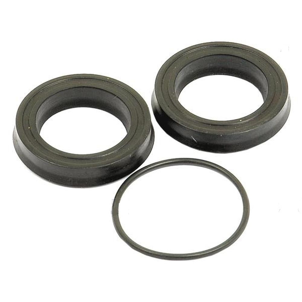 1810917M94 Brake Slave Cylinder Repair Kit Fits Massey Ferguson 4255 4260 4265