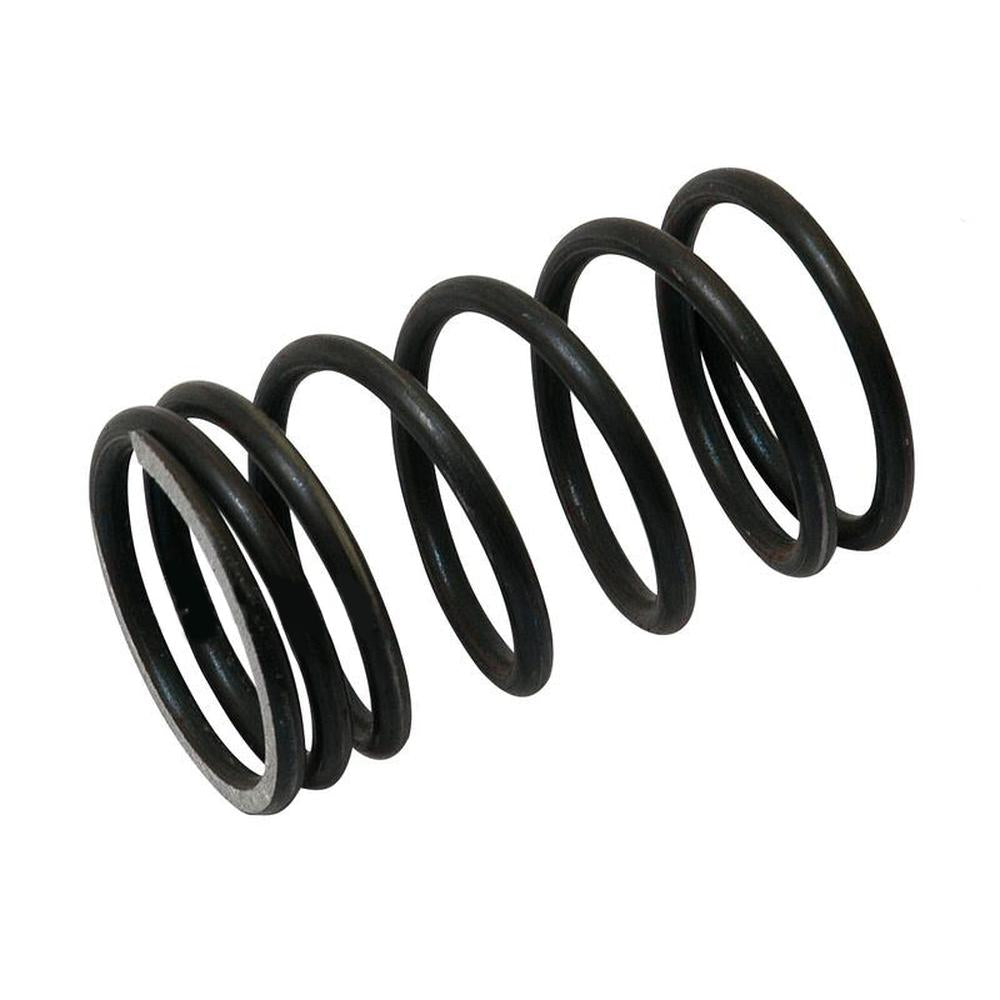 1884125M1 Valve Outer Spring Fits Massey Ferguson Tractor TO35 35XFE