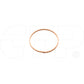 1884218 Ring Wear Fits Caterpillar Models