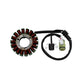 Stator Fits Yamaha YFZ450R YFZ450 R 2009-2024 YFZ450Rse Special Edition 2009-24