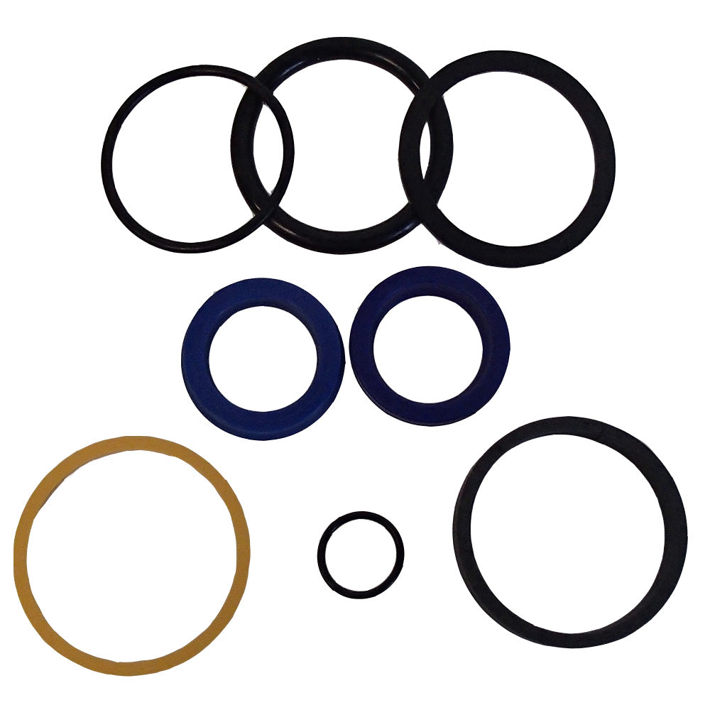 Lift Hydraulic Cylinder Seal Kit For Owatonna 312 Skid Steer  190-32388
