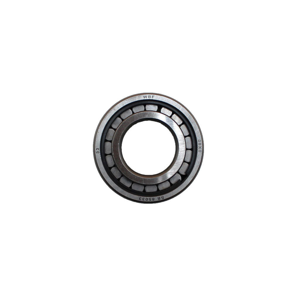 RAX-F-1634A242-A Bearing, Rear Differential Pinion 191250M1