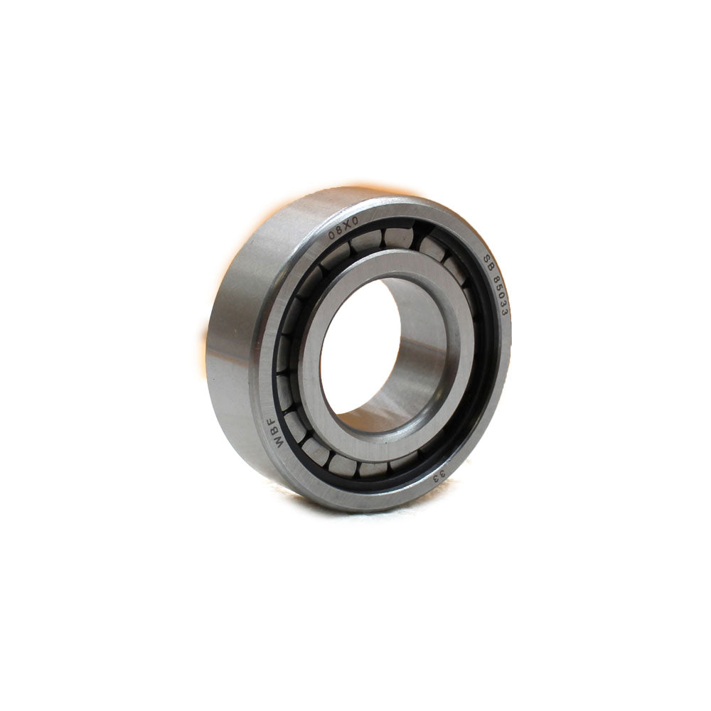 Differential Pinion Bearing Fits Massey Ferguson Replaces 191250M1