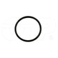 1N6002 Seal O Ring Fits Caterpillar Models