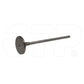 1W1818 Valve-Int Fits Caterpillar Models