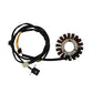 Stator Alternator Generator 21003-1154 For Kawasaki EX250F Ninja 250R, EL250 Eli