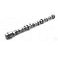 2169782 Camshaft As W/Out Gear Fits Caterpillar Models