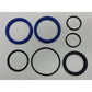 Cylinder Seal Kit Fits Dual Replaces 25031