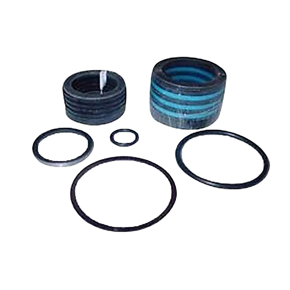 Fits Ford 309957 251164 Hydraulic Cylinder Seal Kit
