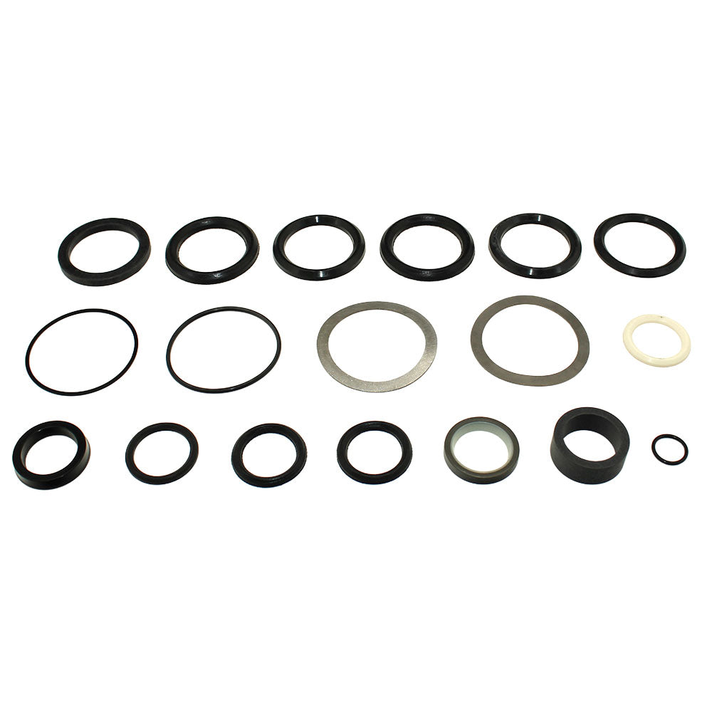 Cylinder Seal Kit Fits Ford Replaces 309959
