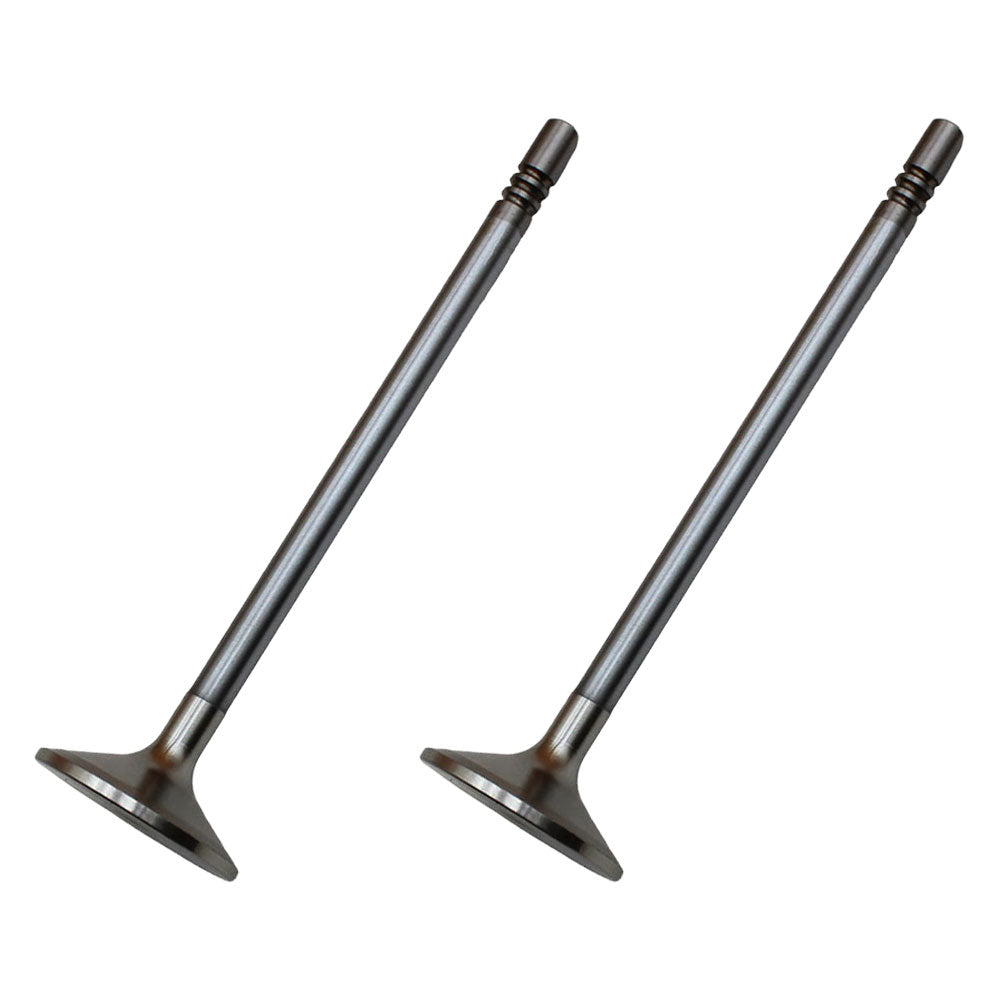 Qty 2: Inlet Valve Fits JCB Replaces 320-03697