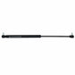 3380149M2 Strut, Gas
