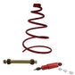 230279 Seat Shock w/ Pivot Rod & Seat Spring Fits Case/International Harvester