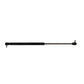 Gas Strut Fits Challenger Replaces 3804759M1
