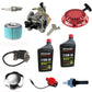 Kit Fits Honda GX160 Recoil Carburetor Ignition Coil Spark Plug Air Filter