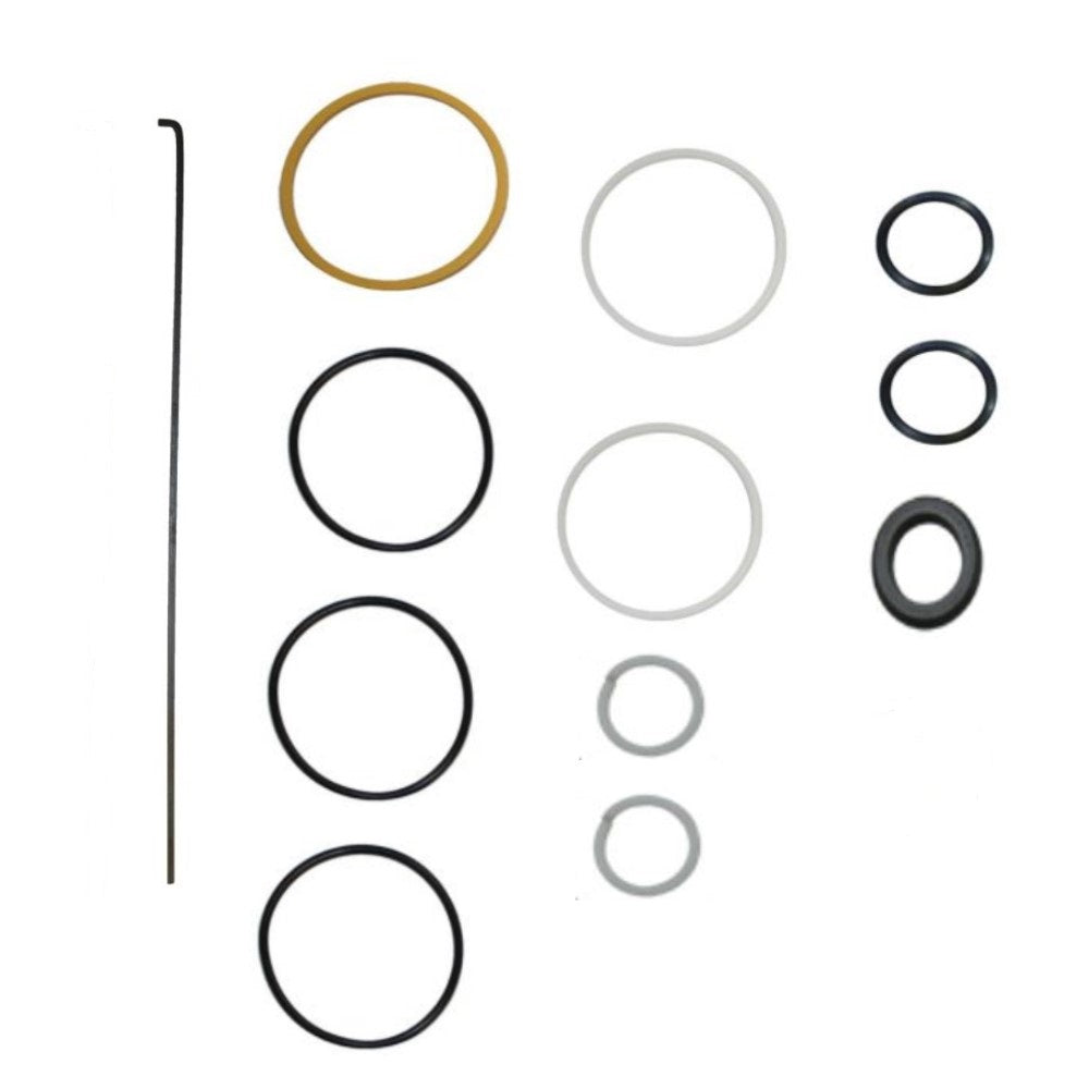 Steering Cylinder Seal Kit - Fits Case-IH - 55355C91