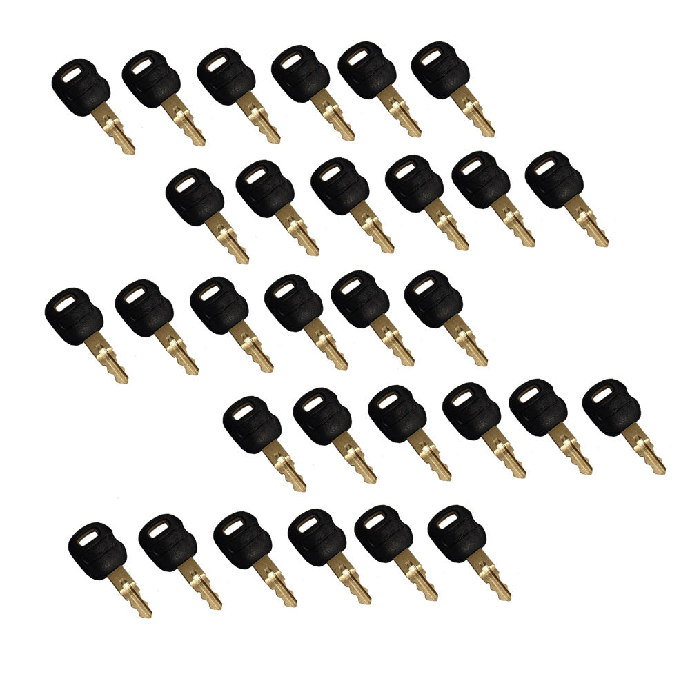 Qty. 30: Key(s) - Old Style Fits ASV Replaces 0310-072