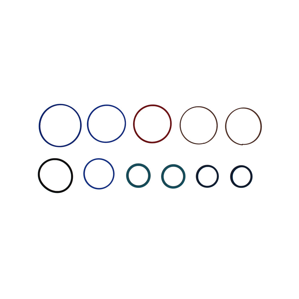 Hydraulic Seal Kit Fits Skytrak Replaces 70021495