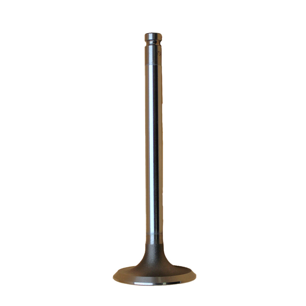 Intake Valve Fits IMT Replaces 731151M1