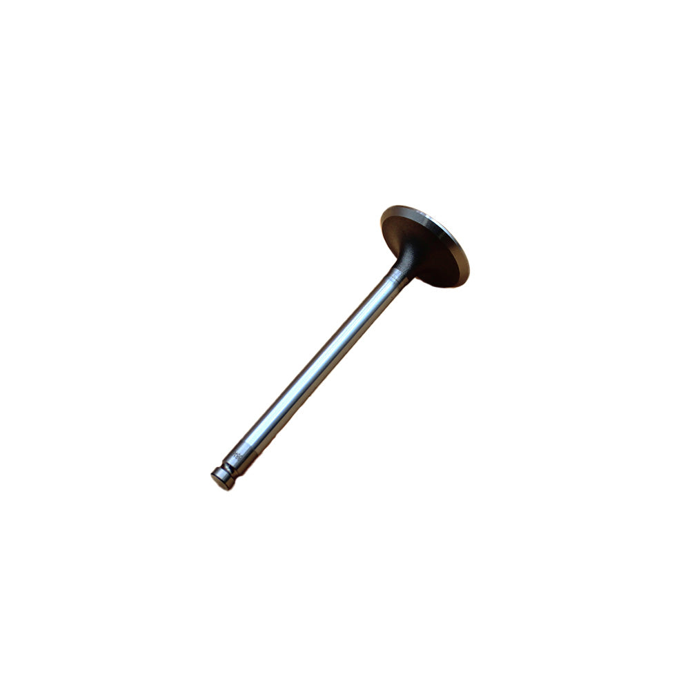 Intake Valve Fits Ford/New Holland Replaces 731151M1