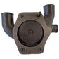 Water Pump w/ Pulley Fits Landini Replaces 41312487