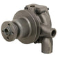 Water Pump w/ Pulley Fits Landini Replaces 41312487
