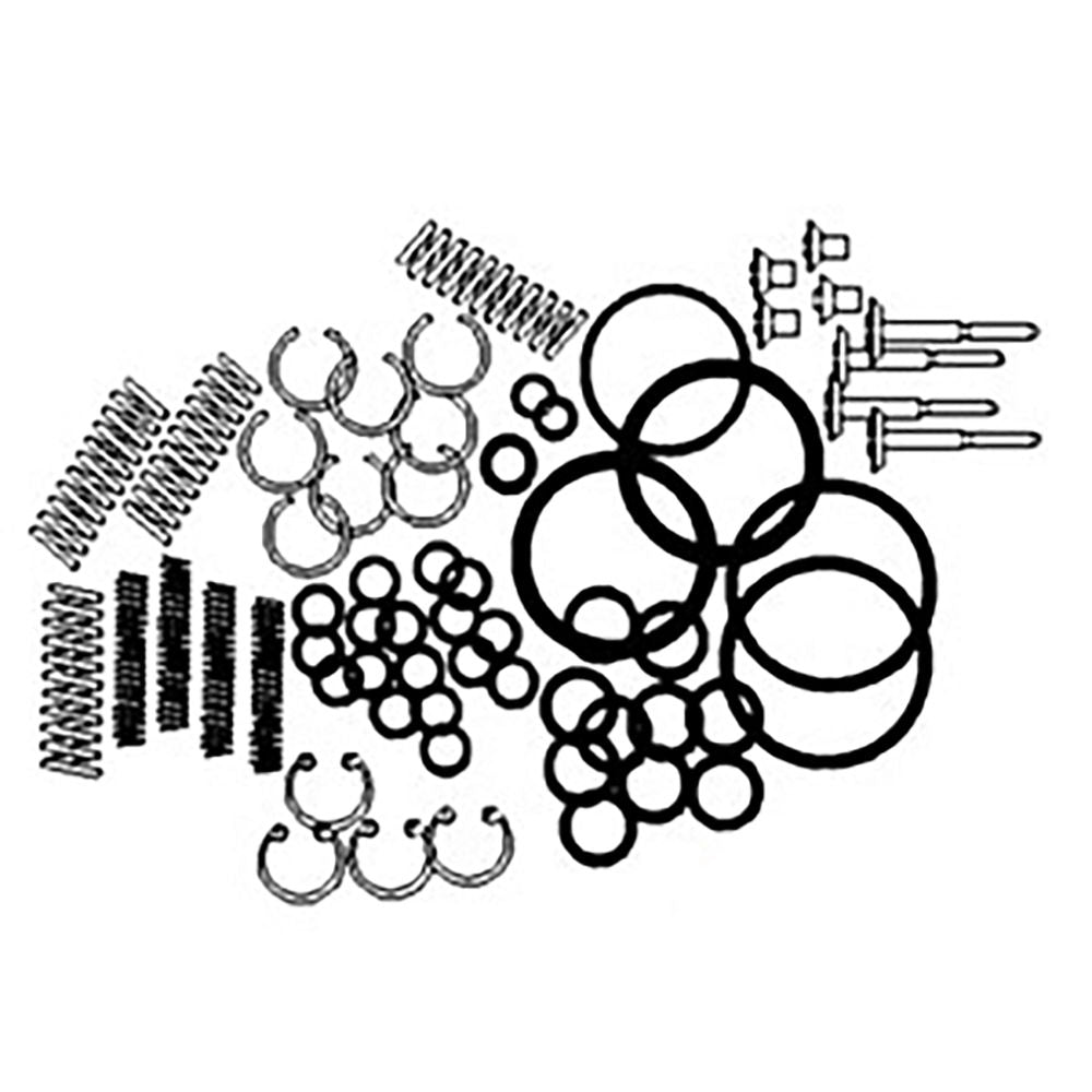 830997M91 Hydraulic Pump Chamber Valve Kit Fits Massey Ferguson 65 35 50 135